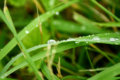 Drops, par Xavier E. G. Dierick